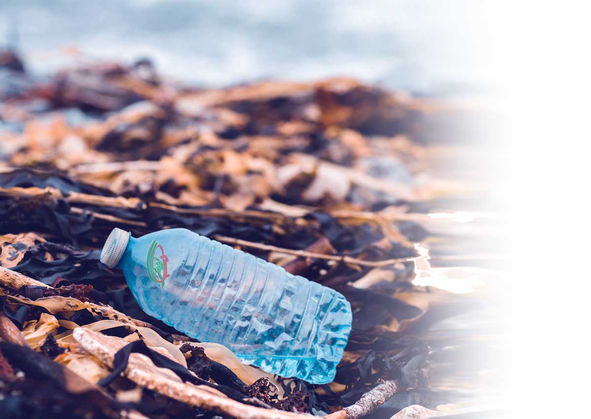 سئو طراحی سایت شرکت پلاستیک