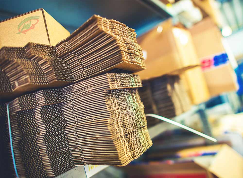 طراحی سایت شرکت کارتن سازی برای فروش محصولات