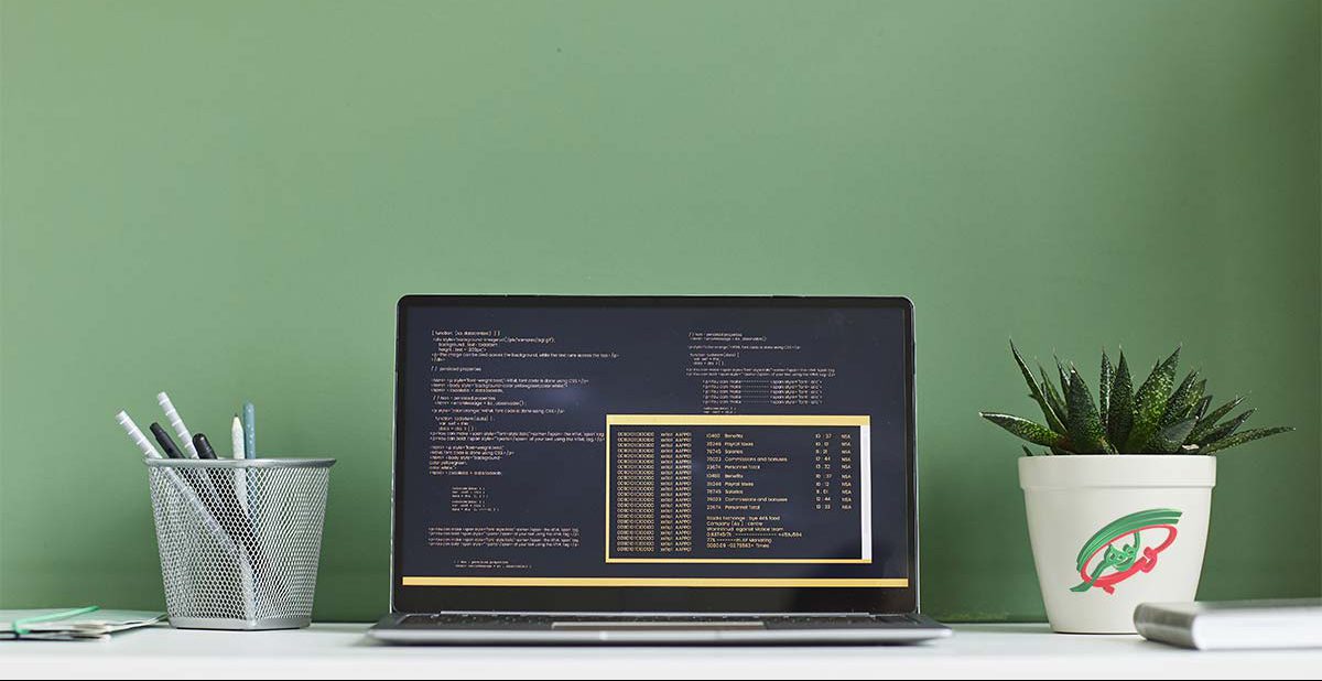 طراحی سایت شرکت فروشگاهی نرم افزار