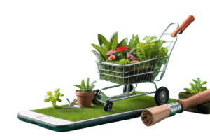 کسب و کار آنلاین داشتن