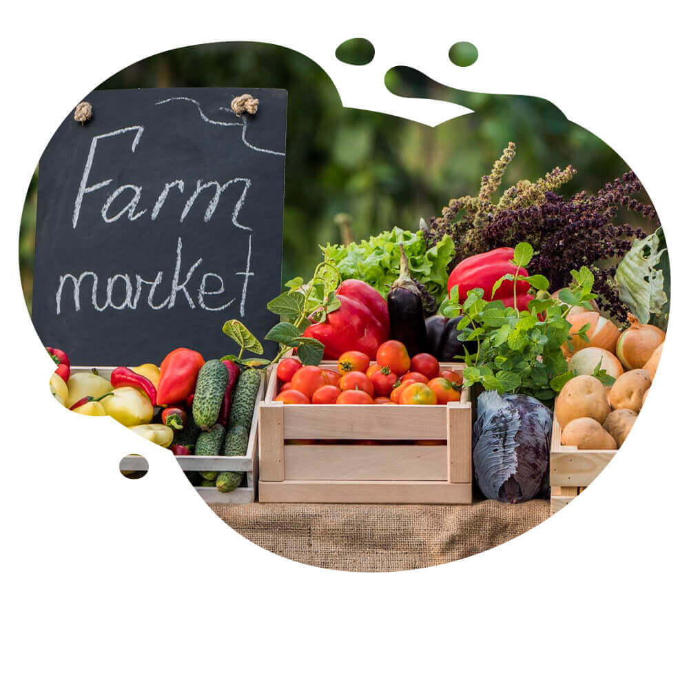 طراحی سایت محصولات کشاورزی